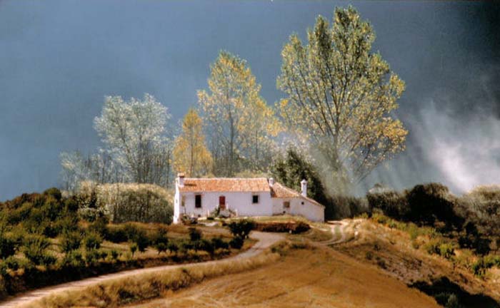 Laruelle Suzanne-104-2-4