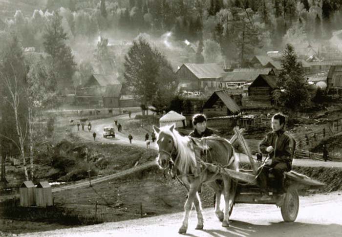 Ledamoisel Michel-077-1-2