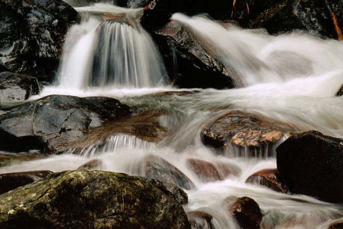 Liedl Elisabeth-026-2-1