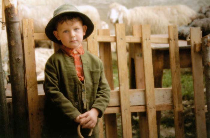 Morellini Davide-083-2-1