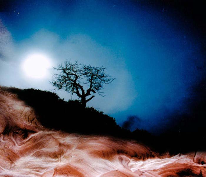 Nardi Enrico-108-2-1