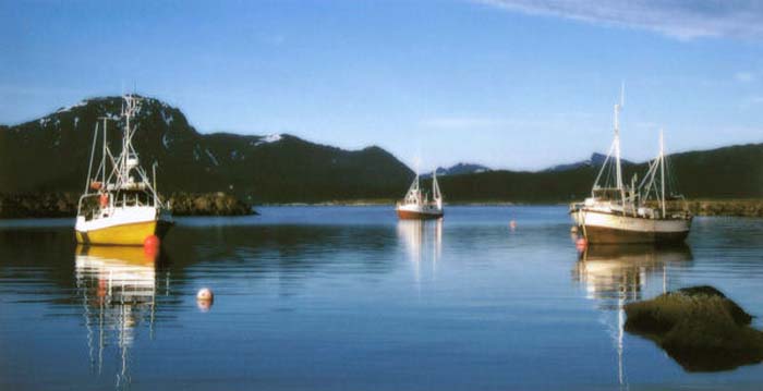 Persch Klaus-247-2-1