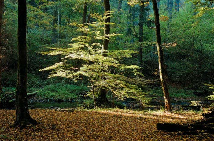 Schmit Jean-Paul-272-2-2