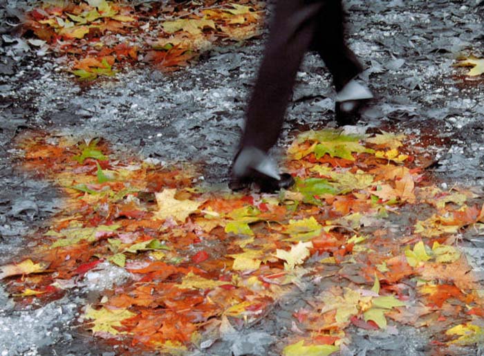 Schneider Alexander-153-3-1