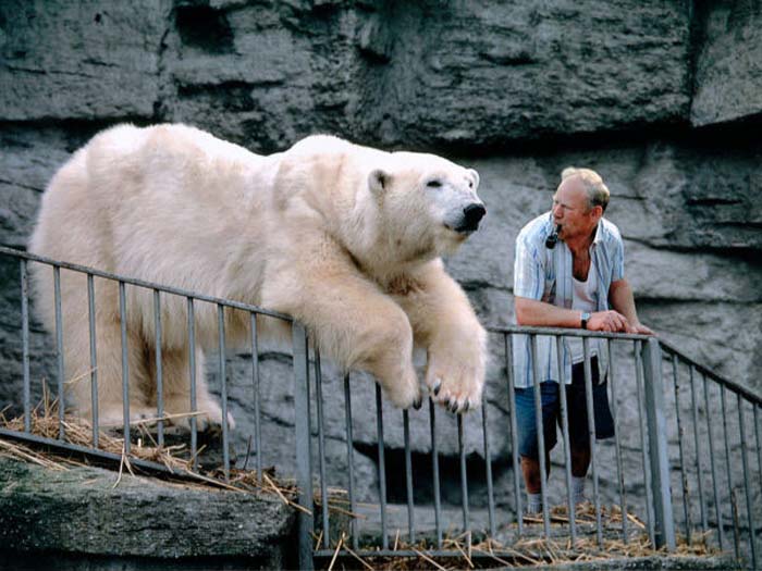 Schneider Alexander-153-3-2