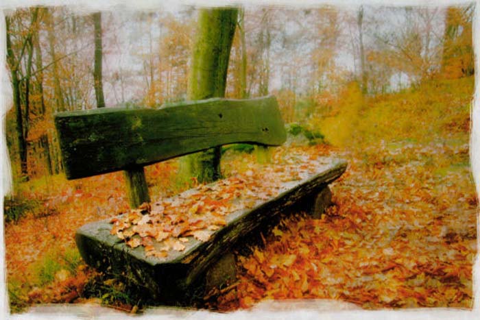 Schneider Alexander-153-3-3