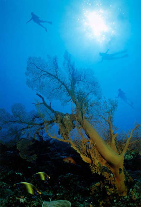 Takeshi Yuki-139-2-1