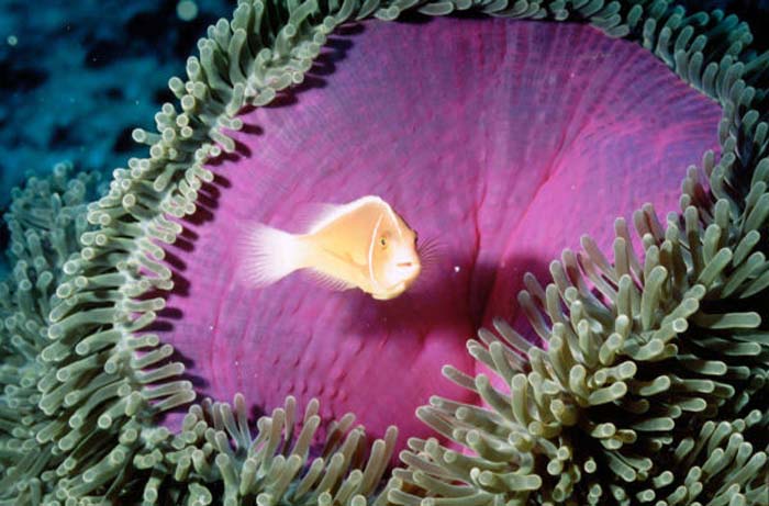 Takeshi Yuki-139-2-2