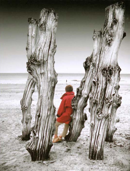 Teetaert Luc-151-2-2