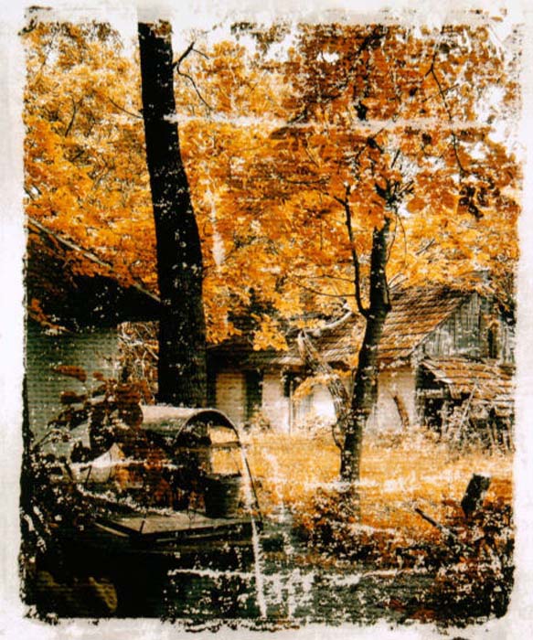 Velychko Mykola-089-3-1