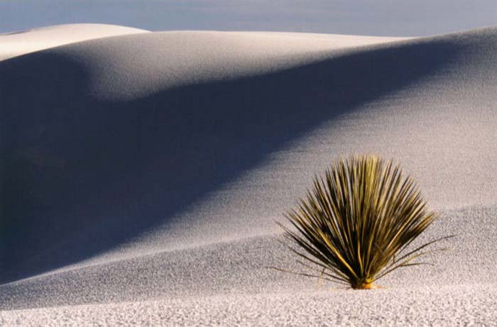 Wheeler David C.-120-2-1