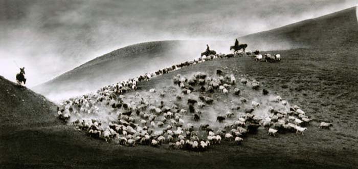 Wong Kin-ming-038-1-2