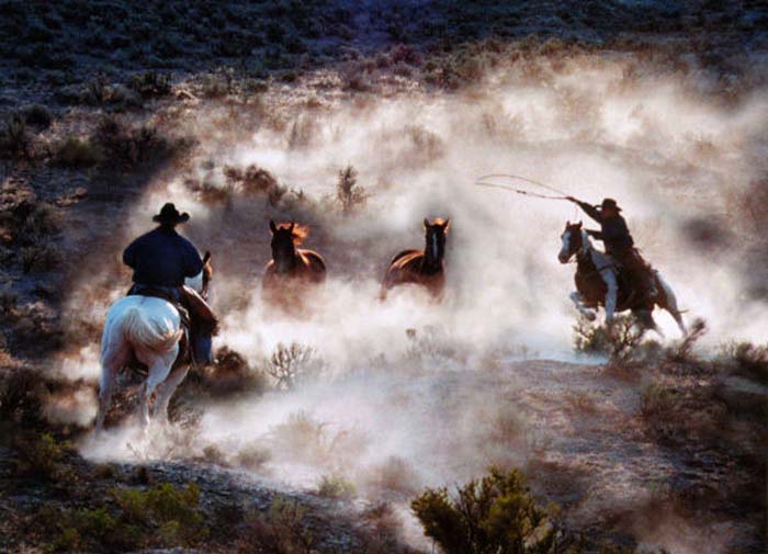 Wong Shiu-gun-084-2-5