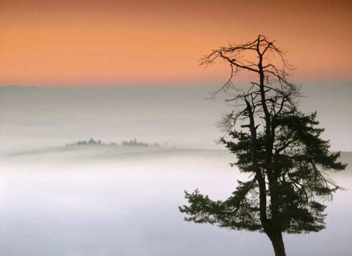 Zdeno Kostka-152-2-1