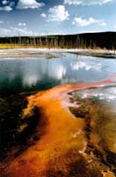 Bamford Jack-210-2-1