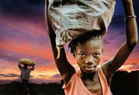 Battista Mazzucco-206-2-1