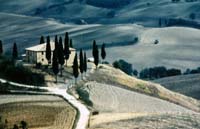 Birner Georges-049-2-1