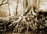 Burdon Janet-157-1-1