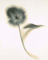 Burdon Janet-157-2-2