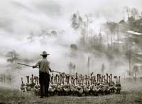 Cheung Kwan-leung-037-1-3