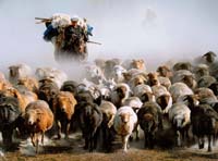 Cheung Kwan-leung-037-2-2