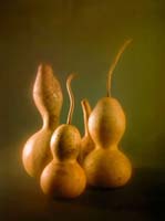 Dinamir Predov-164-2-2