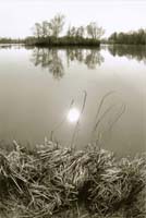 Dissoubray Serge-251-1-2