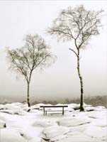 Dissoubray Serge-251-1-3