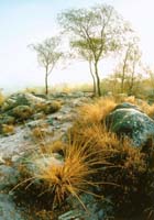 Dissoubray Serge-251-2-2