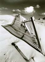 Fester Achim-262-1-1