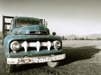 Fester Achim-262-2-1