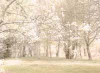 Gerkens Simone-129-3-5