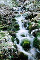 Goelff Claude-263-2-1