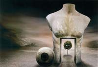 Goossens Ben-200-2-5