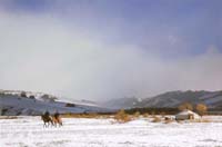 Laborie Georges-217-2-1