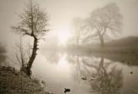 Laruelle Suzanne-104-1-2