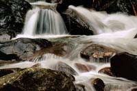 Liedl Elisabeth-026-2-1