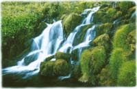 Persch Klaus-247-2-2