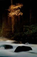 Pfliegel Miroslav-231-2-1