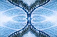 Resch Helmut-061-3-1