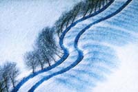 Resch Helmut-061-3-3