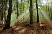 Schmit Jean-Paul-272-2-1