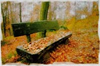 Schneider Alexander-153-3-3