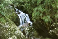 Suys Willy A.-259-2-1