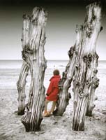 Teetaert Luc-151-2-2