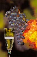 Thiel Edmond-234-3-3