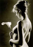 Tuilard Dominique-229-1-2