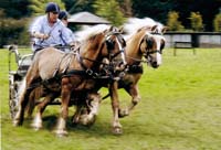 Verbeke Roland-151-2-1