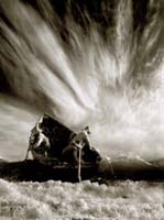 Wong Tak-Choi-084-1-3