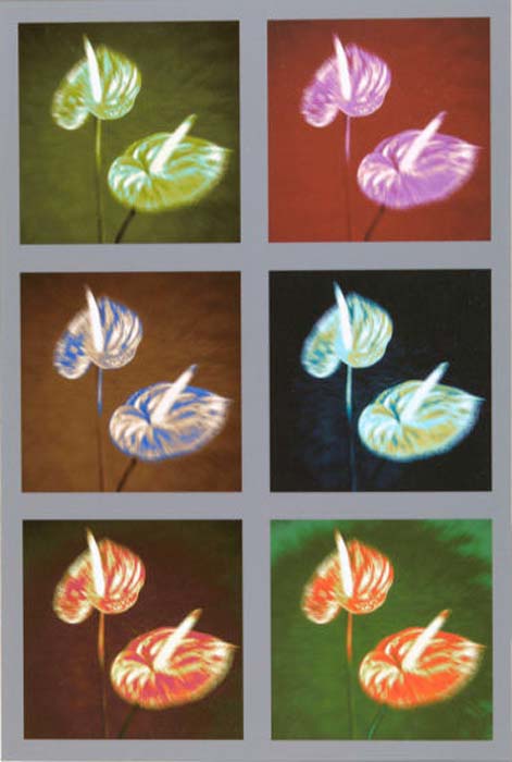 Leardini Carmen-270-3-2